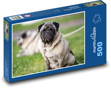 Mops - pes, zvíře Puzzle 500 dílků - 46 x 30 cm