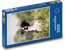 Dog - pet, animal Puzzle of 500 pieces - 46 x 30 cm 