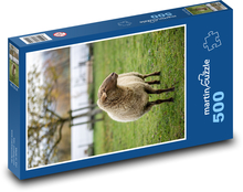 Sheep - animal, farm Puzzle of 500 pieces - 46 x 30 cm 