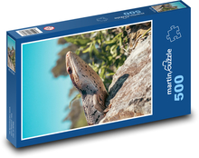 Jaszczurka - zwierzę, gad Puzzle 500 elementów - 46x30 cm