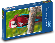 Pták - papoušek, zoo Puzzle 500 - 46x30 cm