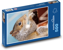 Veverka - hlodavec, divoké zvíře Puzzle 500 dílků - 46 x 30 cm