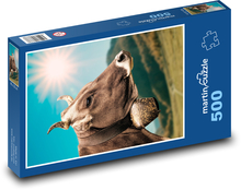 Krowa - dzwonek, słońce Puzzle 500 elementów - 46x30 cm