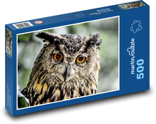 Sova - sova, vták Puzzle 500 dielikov - 46 x 30 cm 