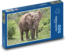 Elephant - animal, safari Puzzle of 500 pieces - 46 x 30 cm