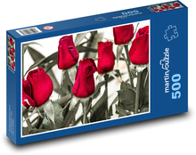 Růže - červené květiny, zahrada Puzzle 500 dílků - 46 x 30 cm