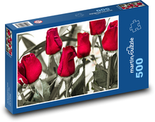 Roses - red flowers, garden Puzzle of 500 pieces - 46 x 30 cm 