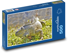 Iguana - reptile, animal Puzzle of 500 pieces - 46 x 30 cm 