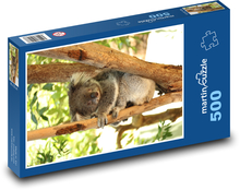 Niedźwiedź koala - zwierzę, ssak Puzzle 500 elementów - 46x30 cm