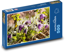 Kvety - krokusy, jar Puzzle 500 dielikov - 46 x 30 cm