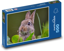 Kaninchen auf der Wiese Puzzle 500 Teile - 46 x 30 cm
