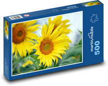 Kvetoucí slunečnice - žlutý květ Puzzle 500 dílků - 46 x 30 cm