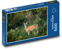 Hirsche im Wald Puzzle 500 Teile - 46 x 30 cm