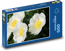 Biele pivonky Puzzle 500 dielikov - 46 x 30 cm 
