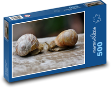 Schnecken - Tiere, Muschel Puzzle 500 Teile - 46 x 30 cm