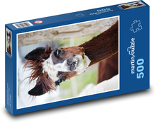 Lama - alpaka, zwierzę Puzzle 500 elementów - 46x30 cm