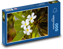 Weiße Blume - Blume, Garten Puzzle 500 Teile - 46 x 30 cm