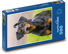 Pes - zviera, domáce zviera Puzzle 500 dielikov - 46 x 30 cm 