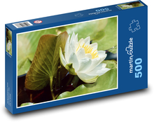 Bílý leknín - květ, vodní rostlina Puzzle 500 dílků - 46 x 30 cm