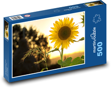 Sonnenblumen - floraler Hintergrund Puzzle 500 Teile - 46 x 30 cm