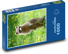 Waschbär im Garten Puzzle 1000 Teile - 60 x 46 cm