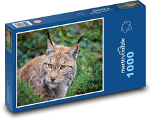 Rys ostrovid v lese  Puzzle 1000 dílků - 60 x 46 cm