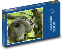 Kata-Lemur, der auf einem Baum schläft Puzzle 1000 Teile - 60 x 46 cm