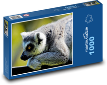 Lemur - monkey Puzzle 1000 pieces - 60 x 46 cm 