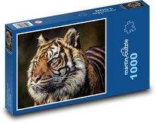 Tygrys - duży kot Puzzle 1000 elementów - 60x46 cm
