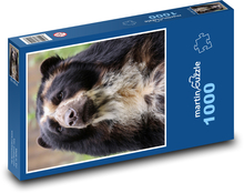 Andský medvěd  Puzzle 1000 dílků - 60 x 46 cm