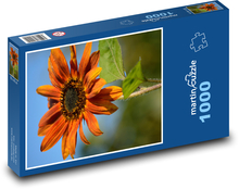 Květ oranžové gerbery Puzzle 1000 - 60x46 cm