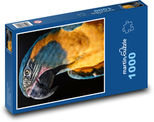 Papuga - ptak Puzzle 1000 elementów - 60x46 cm