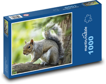 Eichhörnchen auf einem Baum Puzzle 1000 Teile - 60 x 46 cm