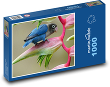 Agapornis - pták Puzzle 1000 dílků - 60 x 46 cm