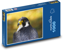 Gyrfalcon - sokol Puzzle 1000 dílků - 60 x 46 cm