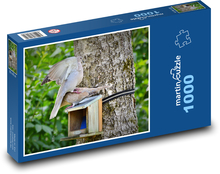 Dove - pigeon, bird Puzzle 1000 pieces - 60 x 46 cm 