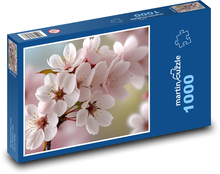 Třešňové květy - strom, jaro na zahradě Puzzle 1000 - 60x46 cm