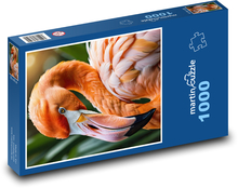 Plameňák - pták s dlouhým zobákem Puzzle 1000 - 60x46 cm
