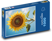 Žlutá slunečnice - letní květina Puzzle 1000 - 60x46 cm