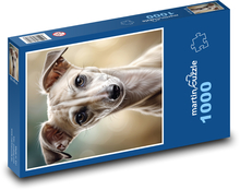 Szczeniak spaniel - pies Puzzle 1000 dielikov - 60 x 46 cm 