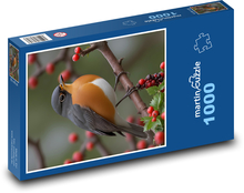 Červenka - pták sedící  na větvi Puzzle 1000 dílků - 60 x 46 cm