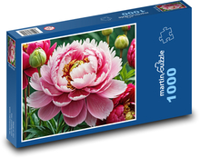 Rosa Pfingstrose - die Blume des Sommers Puzzle 1000 Teile - 60 x 46 cm