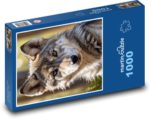 Vlčie mláďa Puzzle 1000 dielikov - 60 x 46 cm 
