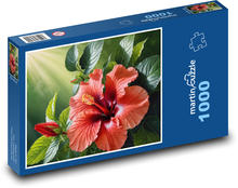 Květoucí ibišek na zahradě Puzzle 1000 dílků - 60 x 46 cm
