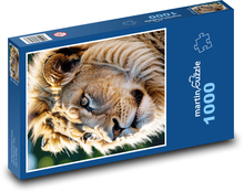 Lev s obrovskou hrivou Puzzle 1000 dielikov - 60 x 46 cm 