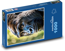 Černá gorila - opice Puzzle 1000 dílků - 60 x 46 cm