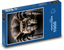 Tarantule - velký pavouk Puzzle 1000 dílků - 60 x 46 cm