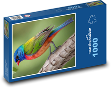 Farebný vták Puzzle 1000 dielikov - 60 x 46 cm 