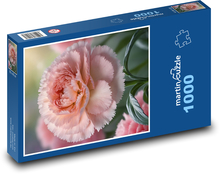 Růžový karafiát - květina Puzzle 1000 dílků - 60 x 46 cm
