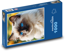 Blue cat eyes Puzzle 1000 pieces - 60 x 46 cm